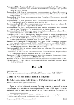 Подрос и поменял окрас. Найденный в Якутии фламинго по имени Гриша расцвел  в красноярском зоопарке - KP.RU