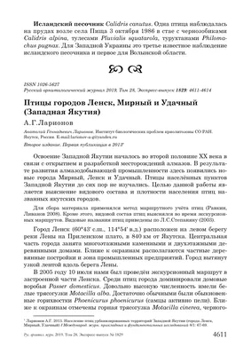 В Якутии вышел первый комикс о краснокнижных журавлях «Путь стерха» -  Агентство социальной информации