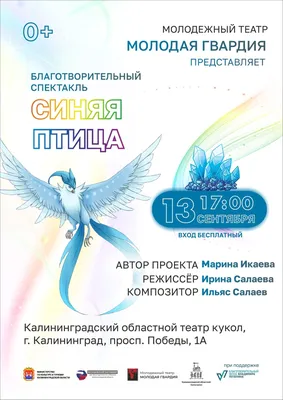 Названы редкие птицы, которые гостили в Калининградской области в последнее  время - МК Калининград