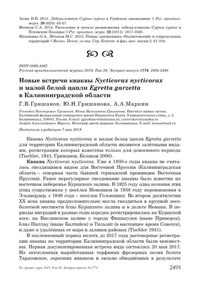 Увидеть птицу жизни: пять направлений для начинающих бёрдвотчеров - Статьи  и репортажи РГО