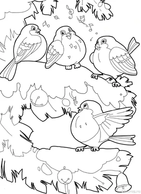 Раскраски Птицы для детей: распечатать бесплатно или скачать