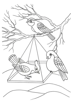 Иллюстрация 4 из 23 для Райские птицы. Раскраска-антистресс для творчества  и вдохновения | Лабиринт - книги.