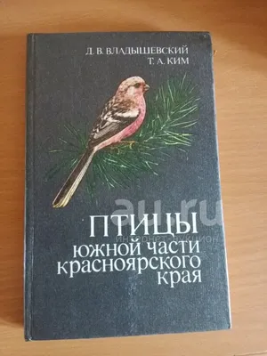 Птицы Краснодарского края, впервые попавшие в Красную книгу России. Часть 3  | Дикий Юг - природа Юга России | Дзен