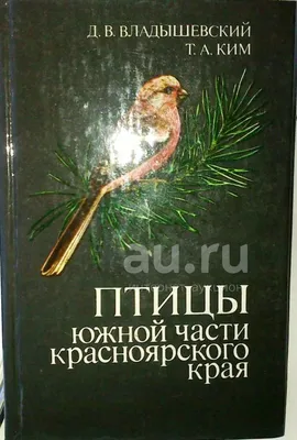 Птицы красноярского края - картинки и названия птиц