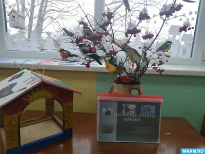 Бердвотчинг в Крыму. Большой отчет о зимнем птицетуре