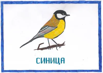 Зимние птицы нашего края» 2023, Актанышский район — дата и место  проведения, программа мероприятия.
