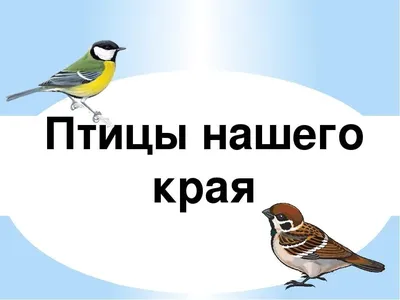 Зимующие птицы нашего края / Устюженский краеведческий музей