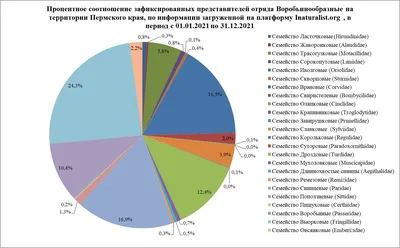 Птицы Пермского края/ Birds of Perm Region, Russia's Journal · iNaturalist