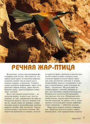 Беларусь ввела ограничения на ввоз птицы из ряда регионов России и  Казахстана