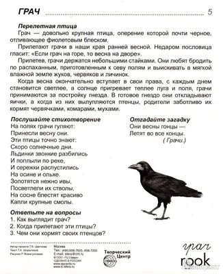 Иллюстрация 14 из 15 для Демонстрационные картинки \"Птицы России\" - Татьяна  Шорыгина | Лабиринт - книги. Источник: Трубадур