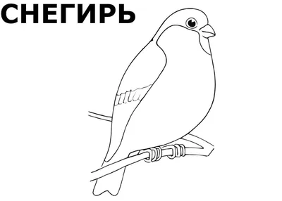 Птицы россии с хохолком - 77 фото
