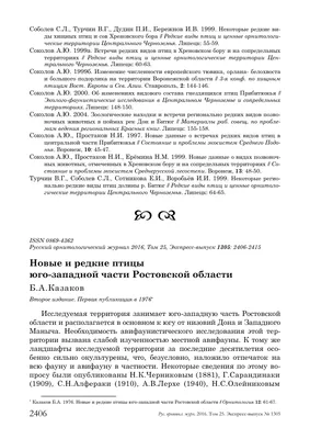 Птица-панк и пометный снайпер: обитающий в окрестностях Волгодонска удод  совсем не прост