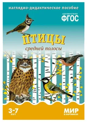 Певчие птицы. Средняя полоса европейской части России. Определитель с  голосами птиц Владимир Архипов, Евгений Коблик - купить книгу Певчие птицы. Средняя  полоса европейской части России. Определитель с голосами птиц в Минске —