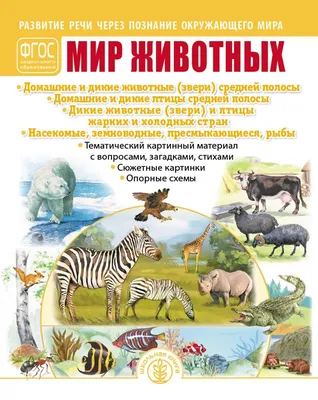 Средняя полоса - 2023\" (общий зачет)'s Journal · iNaturalist