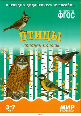 Зимующие птицы России – список, названия, описание, особенности, образ  жизни, фото и видео - Научно-популярный журнал: «Как и Почему»