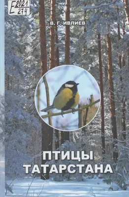 В Татарстане спасли краснокнижного орла-карлика с переломанным крылом -  KP.RU