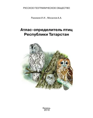 Зимующие птицы Татарстана - 61 фото: смотреть онлайн