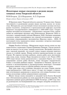 В Тверской области стартовал конкурс кормушек «Хранители птиц» - Газета Вся  Тверь