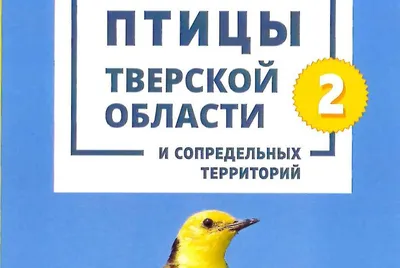 Перепись крылатого населения: кто и как ведет учет птиц в Тверской области  | 03.04.2023 | Тверь - БезФормата