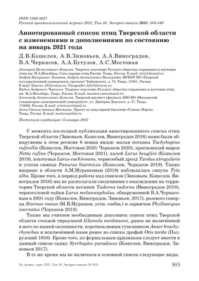 В Тверской области зарегистрировали новый вид птиц – Tverlife.ru свежие  новости Твери и Тверской области