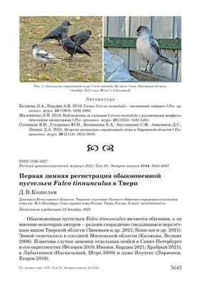 ВСТРЕЧИ РЕДКИХ ПТИЦ В ТВЕРИ И ТВЕРСКОЙ ОБЛАСТИ В 2021 ГОДУ – тема научной  статьи по биологическим наукам читайте бесплатно текст  научно-исследовательской работы в электронной библиотеке КиберЛенинка