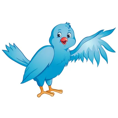 Птицы — картинки для детей скачать онлайн бесплатно