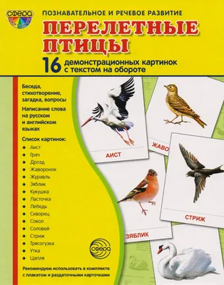 Перелётные птицы: 16 демонстрационных картинок с текстом на обороте -  купить книгу с доставкой в интернет-магазине «Читай-город». ISBN:  978-5-99-491828-9