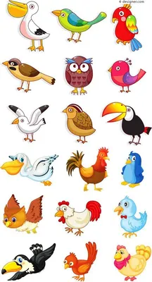 Птицы: картинки для детей | Cartoon birds, Animal drawings, Animal clipart
