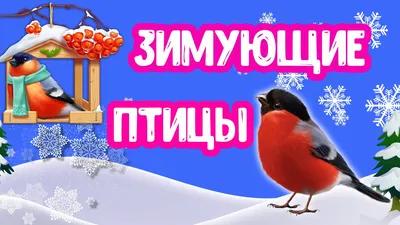 ЗИМУЮЩИЕ ПТИЦЫ для детей | Изучаем зимующих птиц - YouTube