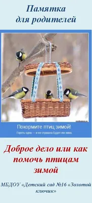 Рисунки детей на тему покормите птиц зимой (50 фото) » рисунки для срисовки  на Газ-квас.ком