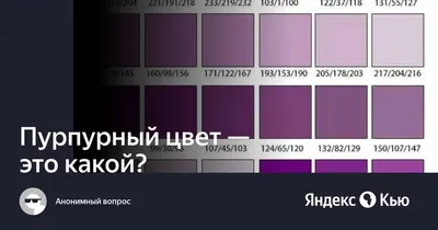 Модная гамма. Пурпур: высшая степень сравнения... цвета!: купить выкройки,  пошив и модели | Burdastyle