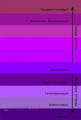 Пурпурный цвет: как выглядит, с чем сочетается в одежде