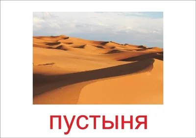 Картинки для детей пустыня - фото