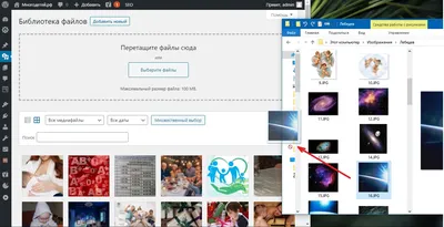 Путь к картинке wordpress фотографии