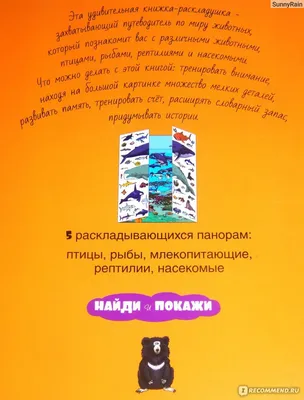 Путеводитель по замку Амбер\". Книга для настоящих поклонников \"Хроник  Янтарного королевства\" | В мире хороших книг | Дзен