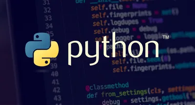 Введение в программирование на языке Python — Центр цифрового образования  детей \"IT-КУБ\"