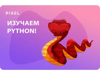 Курсы программирования Python Астана | Веб программирование Django нуля