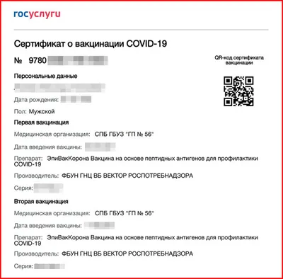 За сколько продают сертификаты о вакцинации от коронавируса с QR-кодом в  Челябинске, что грозит за покупку и продажу QR-кода - 12 октября 2021 -  74.ru