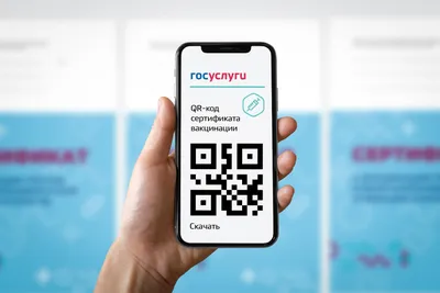 Бесплатный генератор QR онлайн | Создать QR код