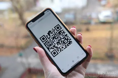 Как получить QR-код после вакцинации? - Министерство здравоохранения  Республики Ингушетия