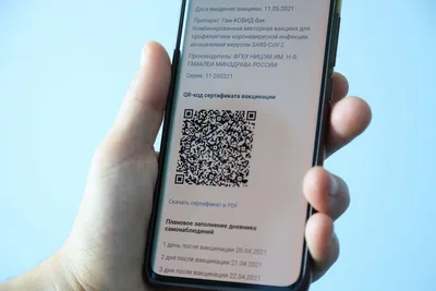 Мошенничество в карантинной Москве: как работает рынок поддельных QR-кодов