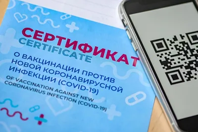 QR-код планируют ввести в Алтайском крае – «Сами»