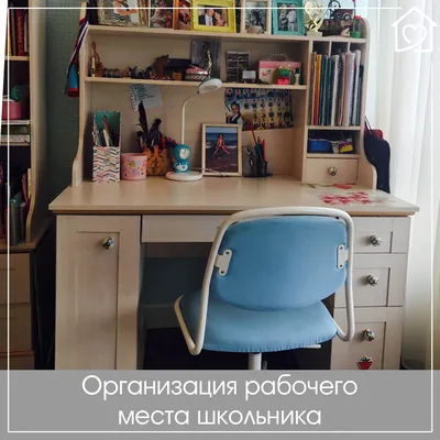Как дома обустроить рабочее место школьника: три важных совета для  родителей - EAOMedia.ru