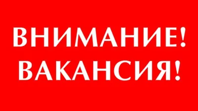 Как найти удаленную работу: от поиска вакансий дистанционной работы и  резюме до трудового договора | Банки.ру