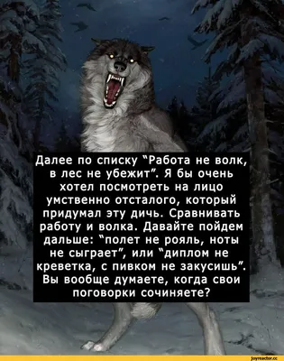 Приколы для даунов :: волчок :: поговорки :: волк :: разное / картинки,  гифки, прикольные комиксы, интересные статьи по теме.