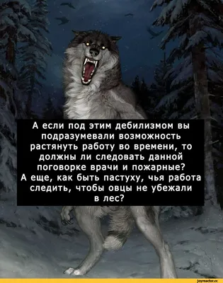 Приколы для даунов :: волчок :: поговорки :: волк :: разное / картинки,  гифки, прикольные комиксы, интересные статьи по теме.