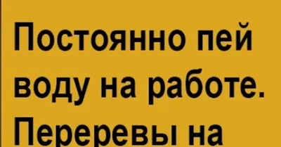 Волк Собаця - ироничное отношение к суровой реальности в картинках.