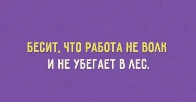 Тест: 10 народных поговорок и пословиц, которые поставят вас в тупик -  Новости Сахалинской области - astv.ru