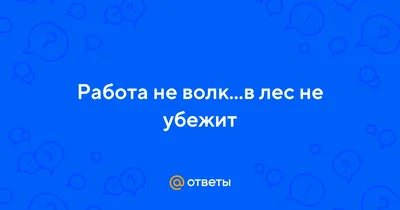 Работа не волк, в лес не убежит — DRIVE2