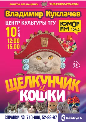Итоги конкурса главная кошка Челябинска 2020 подведут 25 декабря - 21  декабря 2020 - 74.ru